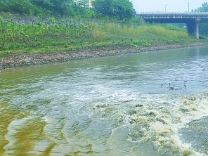 保定曲阳污水清运多少钱